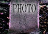 Photo Gallery